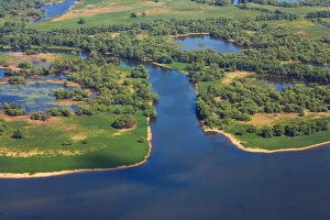 Danube Delta - aerial shot of chanals and extensive reedbeds - The largest reedbed in the world - Tulcea County - Romania