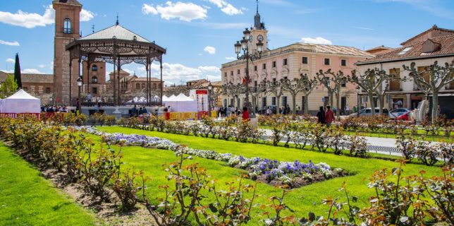Alcalá de Henares recibe el reconocimiento de Naciones Unidas y la Arbor Day Foundation por la gestión de las zonas verdes en la ciudad