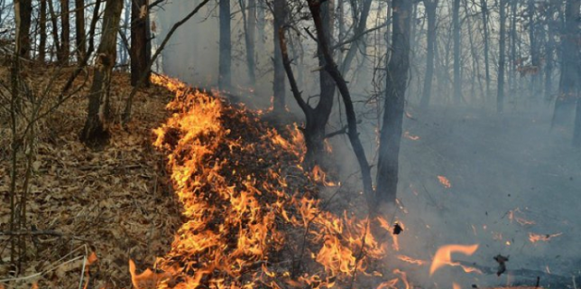 Alertă-Spania-Incendiu-devastator-în-stațiunile-din-Costa-Blanca-provincia-Alicante-Număr-mare-de-oameni-evacuaţi