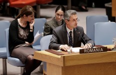 Ambasadorul român la ONU: România, exemplu de bune practici în cooperarea pentru Strategia UE privind Regiunea Dunării