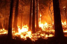 Atenționare: Regatul Spaniei – Incendii de vegetație în Insula Gran Canaria