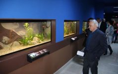Bihor: Cel mai mare vivariu din ţară, inaugurat la Muzeul Ţării Crişurilor