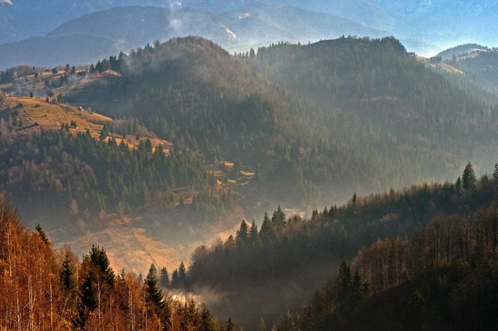 Bihor: Film educativ despre destinaţia de ecoturism Pădurea Craiului, realizat de artistul Mihai Moiceanu