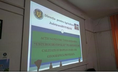 Botoșaniul ar putea fi primul județ cu două produse cu identitate geografică protejată în UE