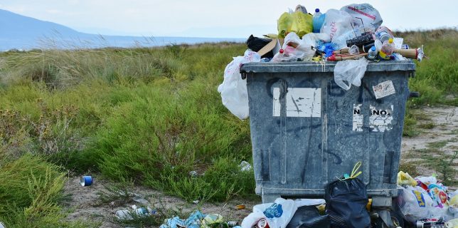 Ce măsură va lua România din vară, în privința pungilor din plastic