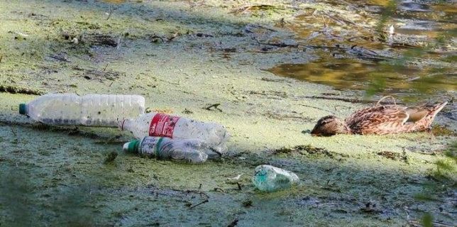 Coca-Cola, cel mai mare poluator cu plastic din lume, potrivit raportului anual al Greenpeace