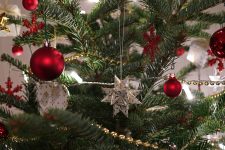 De unde a apărut tradiția împodobirii Bradului de Crăciun?