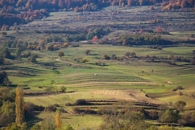 Eurostat: România, printre statele UE unde a crescut în ultimii ani suprafaţa agricolă cultivată în mod ecologic