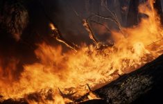 Grecia: Bilanţul morţilor în urma incendiilor din apropiere de Atena a ajuns la 74