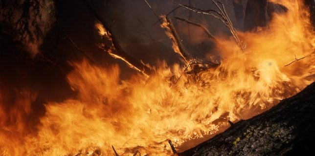 Grecia – Bilanţul morţilor în urma incendiilor din apropiere de Atena a ajuns la 74