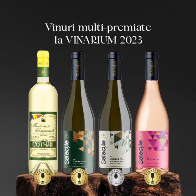 Iaşi: Vinurile din Podgoria Cotnari, premiate la un important concurs internaţional