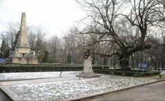 Iași: Teiul lui Eminescu este în pericol din cauza zăpezii