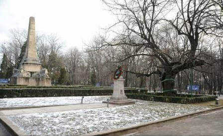 Iași – Teiul lui Eminescu este în pericol din cauza zăpezii