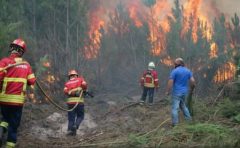 Incendii în Portugalia: Ministrul de interne a demisionat, pe fondul criticilor față de reacția autorităților