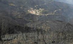 Incendii în Portugalia: bilanțul a crescut la 42 de morți