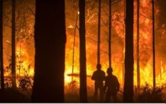 Incendiile de vegetație din Portugalia au provocat moartea a cel puțin 20 de persoane, potrivit unui bilanț provizoriu