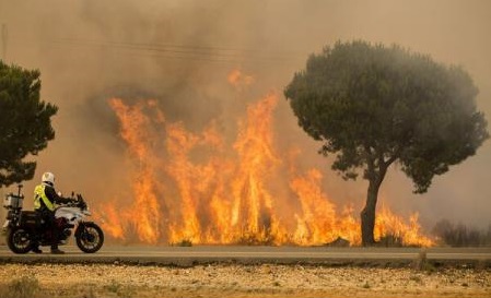 Incendiile de vegetație din Spania din acest an au mistuit aproape 64.000 de hectare de terenuri