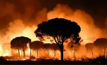 Incendiu într-un parc natural din Spania – Cel puțin 1.500 de persoane evacuate