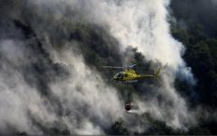 Incendiul din provincia spaniolă Leon a fost stins, 8.000 de hectare de pădure distruse