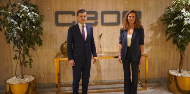 Întrevederea ambasadorului George Bologan cu președinta CEOE Internacional