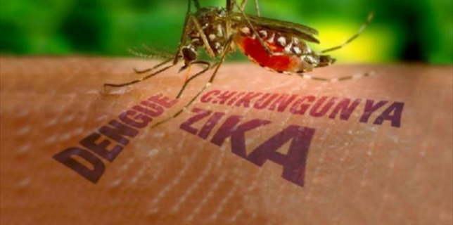 La-OMS-declara-el-virus-del-zika-una-emergencia-global