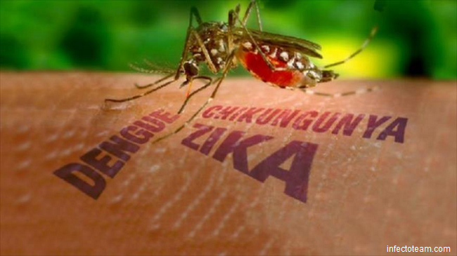 La-OMS-declara-el-virus-del-zika-una-emergencia-global