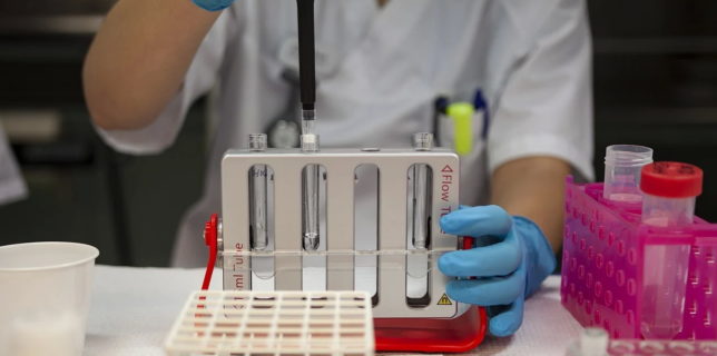 La intrarea în România, obligativitatea prezentării unui test negativ RT-PCR pentru SARS-CoV-2