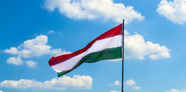 MAE România a fost inclusă pe lista galbenă de autorităţile ungare; testarea COVID la frontieră – obligatorie
