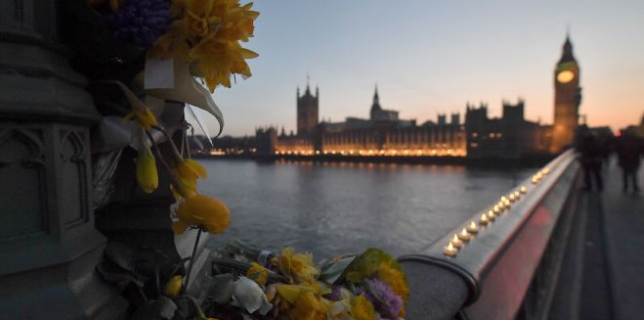 Muere la arquitecta rumana que cayó al río Támesis en el atentado de Londres