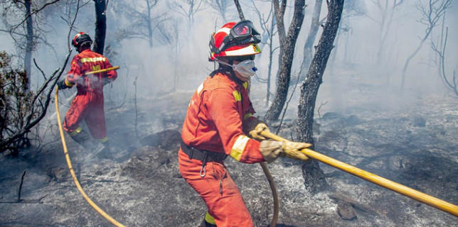 Más de 700 militares en la extinción de cuatro grandes incendios forestales simultáneos