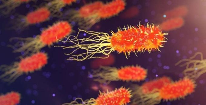 Nanoparticulele de aur ar putea fi o alternativă la a antibiotice (studiu)