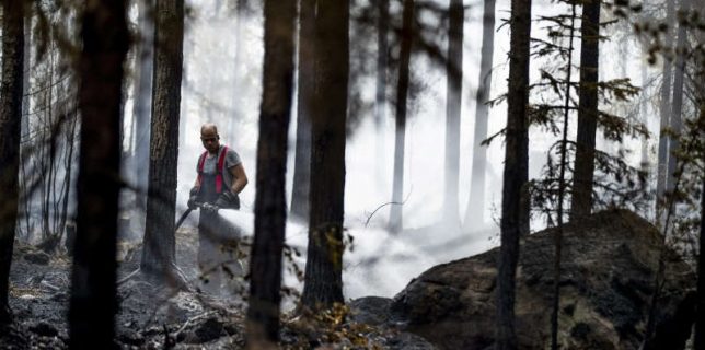 Fire departments and volunteers work to control a forest fire in Pyharanta
