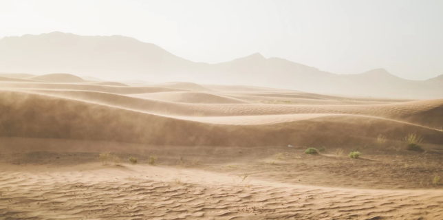 Norul de nisip din Sahara a condus la o scădere a calităţii aerului în Europa (Copernicus)