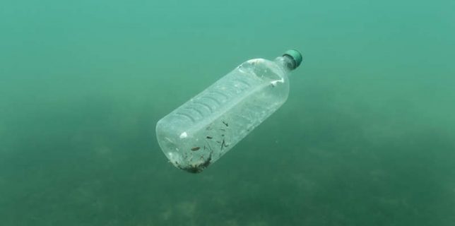 FILE PHOTO: A plastic bottle is seen floating in an Adriatic sea of the island Mljet