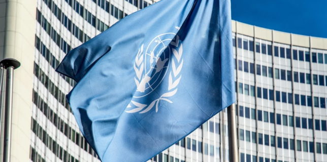ONU solicită Rusiei să pună capăt "ocupaţiei temporare" a peninsulei Crimeea