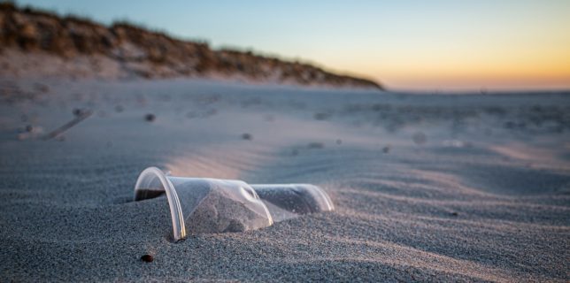 Oamenii de ştiinţă spun că impactul poluării cu plastic ar putea fi ireversibil