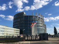 Parlamentul European a condamnat utilizarea disproporţionată a forţei poliţiei în timpul manifestaţiilor
