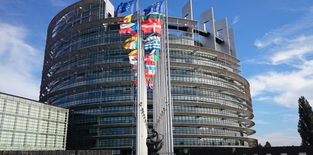 Parlamentul European a iniţiat procedura de urgenţă pentru a accelera adoptarea adeverinţei electronice verzi până în iunie