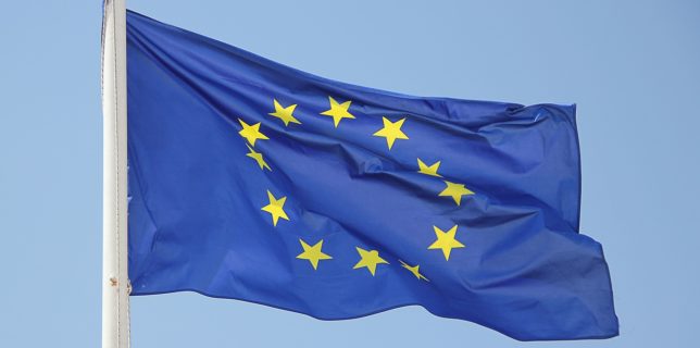 Peste 700.000 de oameni au devenit cetăţeni ai Uniunii Europene în 2019 (Eurostat)