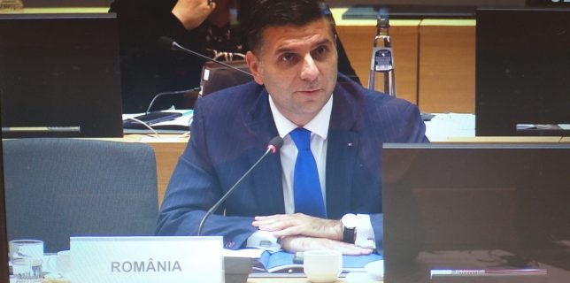 Petrescu (MCSI) – Nu cred în programe dedicate Diasporei; Când se vor întoarce românii în țară