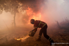 Plan de urgență în Portugalia din cauza incendiilor de pădure