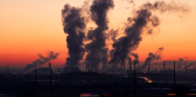 Poluarea aerului provoacă 8,8 milioane de decese premature în fiecare an (studiu)