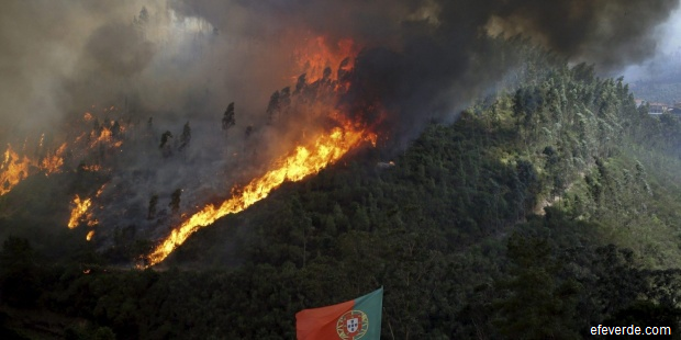 Portugalia-Incendiile-de-vegetație-au-afectat-95000-de-hectare