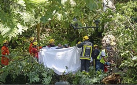 Portugalia – Numeroși morți și răniți după prăbușirea unui copac secular în Madeira
