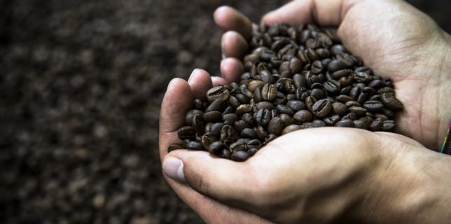 Preţurile la cafeaua arabica sunt la cel mai ridicat nivel din utimul deceniu