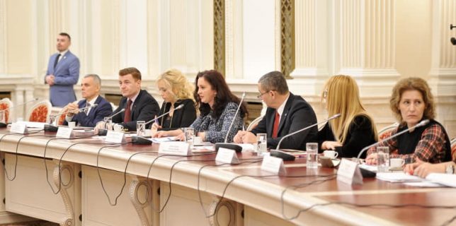Raport de activitate al MRP în fața comisiilor parlamentare pentru românii din afara granițelor