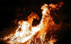 Ritual controversat în cadrul unui festival spaniol de 500 de ani. Vezi detalii