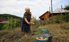România pe primul loc în UE la ponderea populației ocupate în agricultură