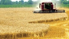 România, printre statele cu cea mai ridicată valoare a producției agricole din Uniunea Europeană