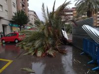 Spania - Două persoane decedate, inclusiv o româncă, în urma furtunii Gloria
